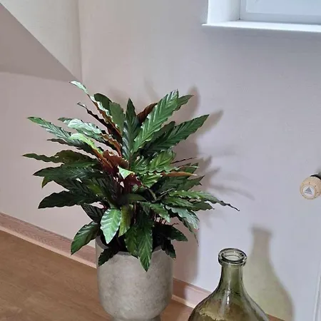 Bed & Breakfast Groennebaek *