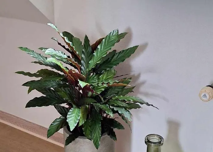 Nocleg ze śniadaniem Groennebaek *